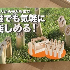 モルックのパチモン！？　売りますの画像