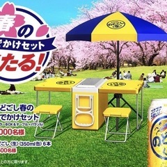 値下げ❗️23%OFF【新品　未開封　未使用】クーラーボックス　...