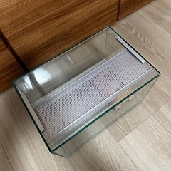 爬虫類　ガラスケージ　レオパ の画像
