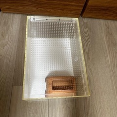 爬虫類　アクリルケージ　レオパ  シェルター付きの画像