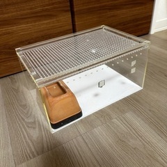 爬虫類　アクリルケージ　レオパ  シェルター付きの画像