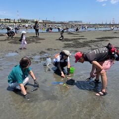 海が好きな「大人の部活」ミドル＆シニア海の仲間づくり - 千葉市