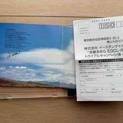 首都高速トライアル　愛が眠れない　須藤あきら　パンドラ　Pandora　の画像