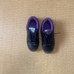 ボウリングシュ－ズ25㎝の画像