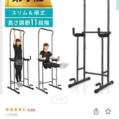 【お値引き可能】ぶら下がり健康器 ぶら下がり スリム ぶらさがり...