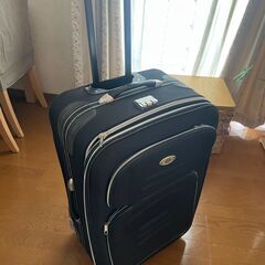 無料・大型布製スーツケース（故障箇所あり）