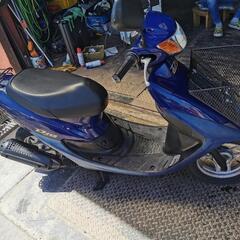 ホンダDIO50綺麗の画像