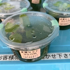 水草入荷しました❤️