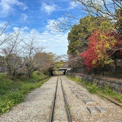 (9月度)京都の名所を巡りながらハイキングツアー♪ - 京都市