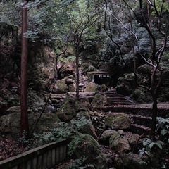 (9月度)京都の名所を巡りながらハイキングツアー♪ - メンバー募集