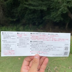KBCオーガスタ　ゴルフトーナメント　チケット　最終日　の画像