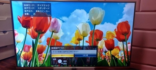 取引中Panasonicビエラ55Vジャンク