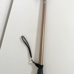 杖