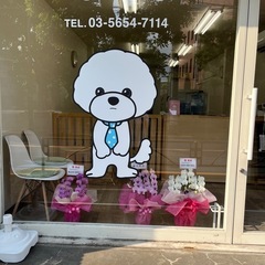 江東区亀戸　トリマー募集！の画像