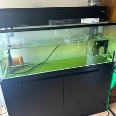 【決まりました】120cm 水槽、水槽棚