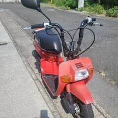 ①【価格変更しました】原付ホンダ　スカッシュ