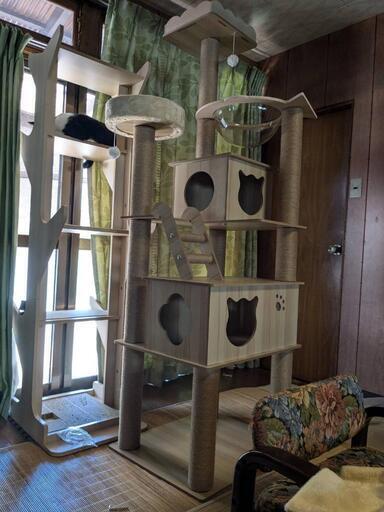キャットタワー(新品)