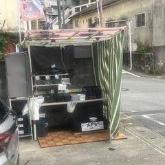 めだか