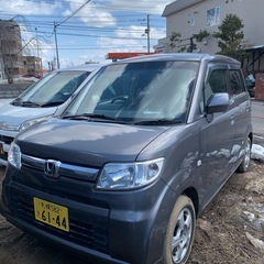 ゼスト激安❗️