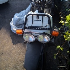 最終値下げ！ズーマー50cc 即完売しました。ありがとうございますの画像