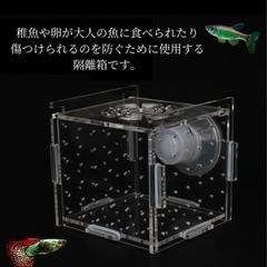 メダカ、エビ、卵、稚魚、隔離ケース