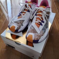 バスケットシューズ　キレイ　JORDAN ONE TAKE　29...
