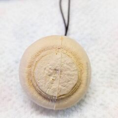 ☆マッシュルームストラップ　中古品　の画像
