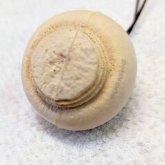 ☆マッシュルームストラップ　中古品　の画像