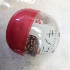 ☆ウスキキヌガサダケ　ストラップ　未使用品　の画像