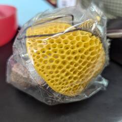 ☆ウスキキヌガサダケ　ストラップ　未使用品　