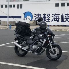 商談中！Kawasaki バリオスの画像