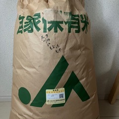 玄米

