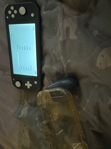 (お取引決まりました。)Switchライト