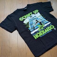 大日本プロレス COUNT UP HOKKAIDO in Summer 2016の画像