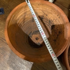 鉢
の画像