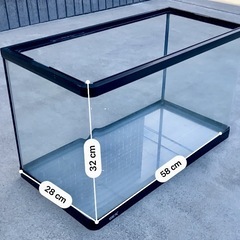 GEX 曲げ ガラス 水槽 60cm