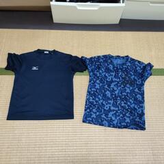 子供の夏のＴシャツ 