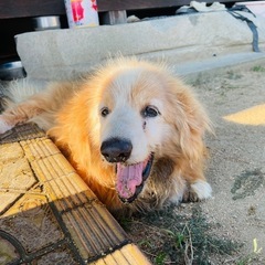 状況が変わり、募集一旦停止します。