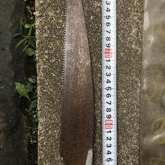 竹引き用ノコギリ　竹引き　竹細工　工作　図工の画像