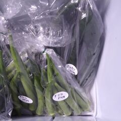 新鮮野菜コーナー8月25日の品出し予定です。