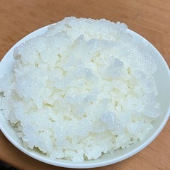 令和6年度産コシヒカリ玄米