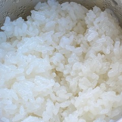 令和6年度産コシヒカリ玄米の画像