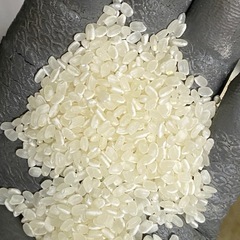 令和6年度産コシヒカリ玄米の画像