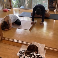 秋の経絡ストレッチヨガの画像