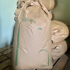 コシヒカリ玄米30kg⑤