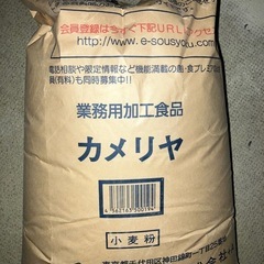カメリヤ25kg