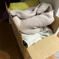 商談中女の子140-160段ボール1箱分の画像