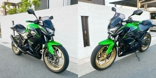 【売却済】Z250 Special Edition 加古川より ninja ニンジャ