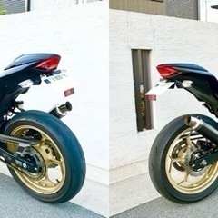 【売却済】Z250 Special Edition 加古川より ninja ニンジャの画像