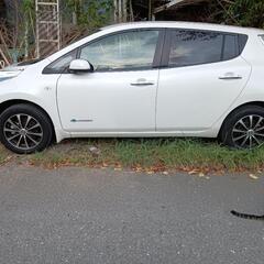 kim様　リーフ 検 8年6月100V 家で充電綺麗の画像